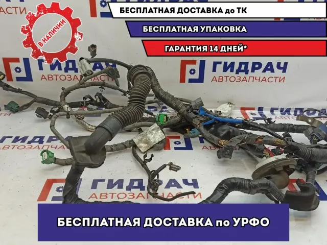 Проводка моторная Infiniti M35 24011-EH301.