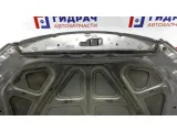 Капот Infiniti M35 F5100-EG0MM.