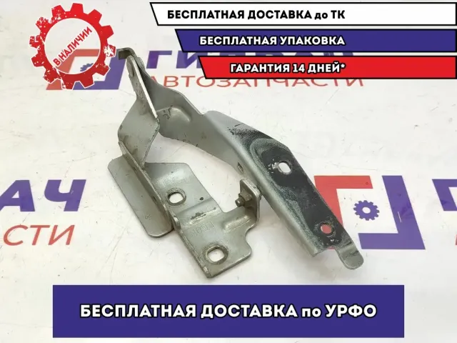 Петля капота правая Infiniti M35 65400EG000.