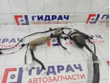 Проводка двери передней левой Infiniti Q50 241254GA1C