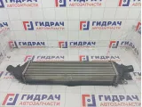 Интеркулер Infiniti Q50 144614GC0A
