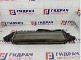 Интеркулер Infiniti Q50 144614GC0A