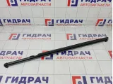 Уплотнитель стекла заднего правого Infiniti Q50 828344GA0A