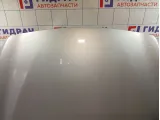 Капот Infiniti Q50 F510M4GAMA