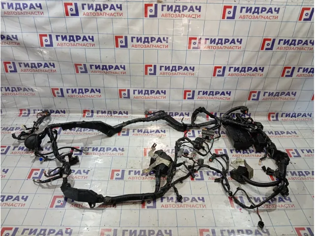 Проводка подкапотная Infiniti Q50 240126HE1A