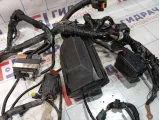 Проводка подкапотная Infiniti Q50 240126HE1A