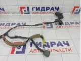 Проводка двери задней Infiniti QX50 241261BA0B