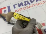 Проводка двери задней Infiniti QX50 241261BA0B
