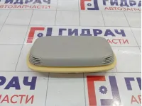 Ионизатор воздуха Infiniti QX56 (Z62) 96981-1LA0A