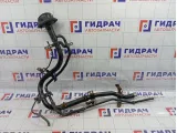 Горловина топливного бака Infiniti QX56 (Z62) 17221-1LB1A