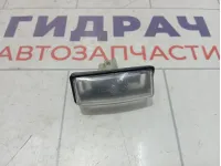 Фонарь подсветки номера Infiniti QX60 (L50) 265109Y00A