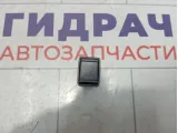 Кнопка закрывания багажника Infiniti QX60 (L50) 252683JA0A