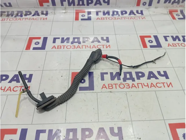 Проводка крышки (двери) багажника Infiniti QX60 (L50) 282433JA0A