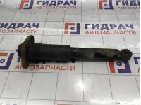 Амортизатор задний Infiniti QX60 (L50) E62103JA0B