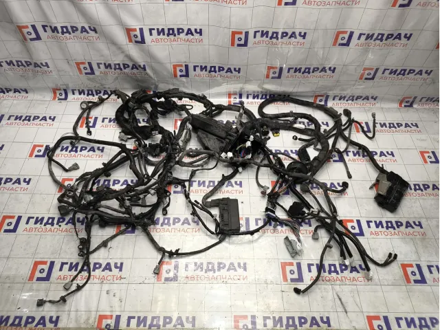 Проводка подкапотная Infiniti QX60 (L50) 240233JR1A