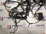 Проводка подкапотная Infiniti QX60 (L50) 240233JR1A