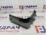Крышка зеркала внутренняя передняя левая Iveco Daily 3802067