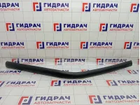 Молдинг крыши Iveco Daily 10139188