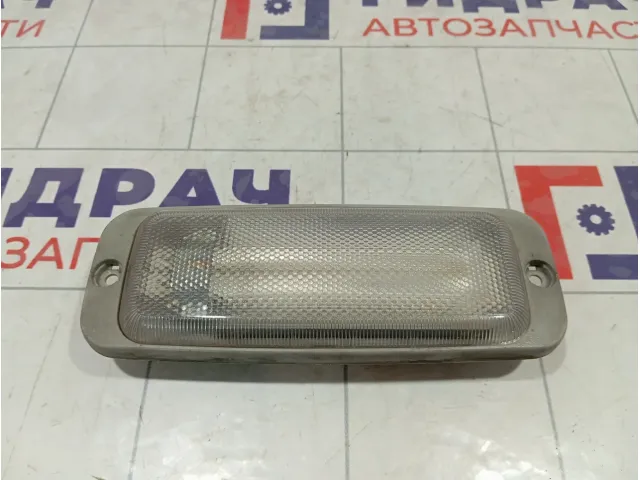 Плафон салонный Iveco Daily