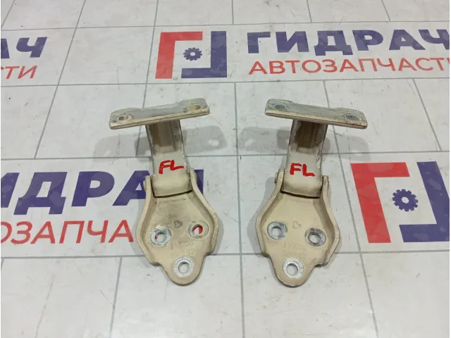 Петли двери передней левой Iveco Daily