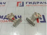 Петли двери передней правой Iveco Daily