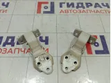 Петли двери передней правой Iveco Daily