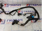 Проводка двигателя Iveco Daily 504257096