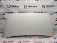 Капот Iveco Daily