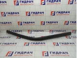 Молдинг крыши Iveco Daily 10139187