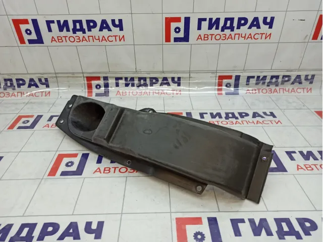 Накладка крыла горловины топливного бака Iveco Daily 504076008