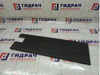 Накладка двери задней левой Iveco Daily 3802049