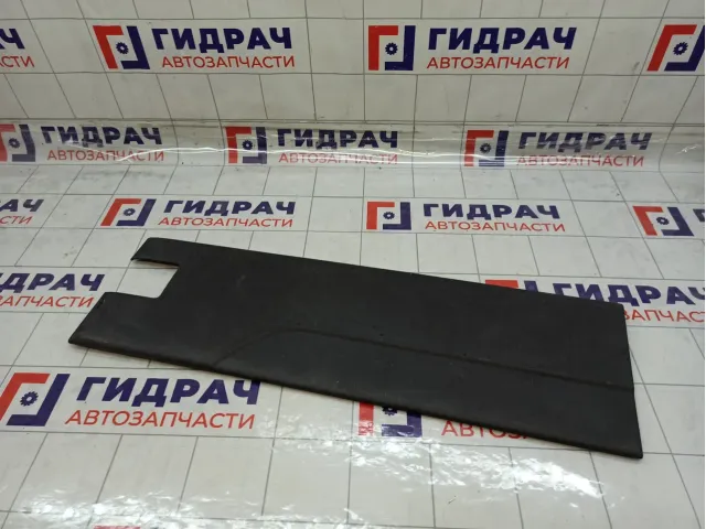 Накладка двери задней левой Iveco Daily 3802049