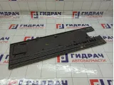 Накладка двери задней левой Iveco Daily 3802049
