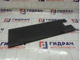 Накладка двери задней правой Iveco Daily 3802050