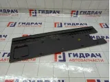 Накладка двери задней правой Iveco Daily 3802050
