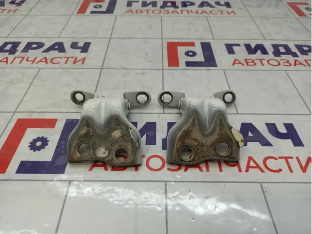 Петли двери передней левой JAC J7