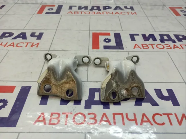 Петли двери передней правой JAC J7