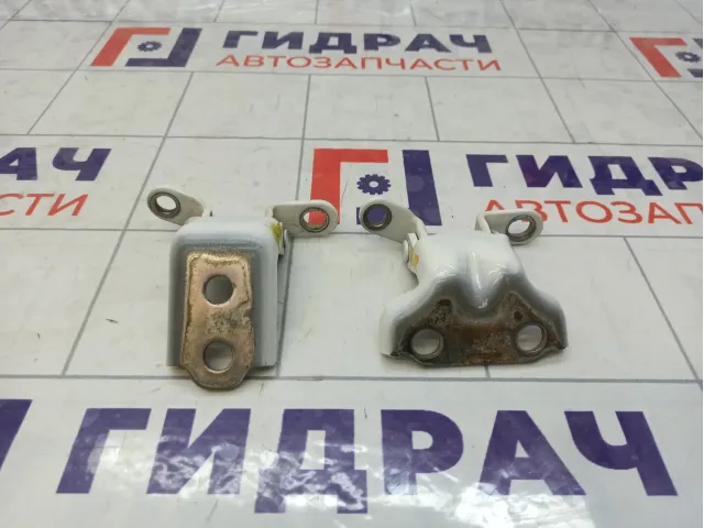 Петли двери задней левой JAC J7