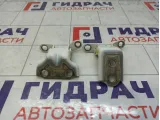Петли двери задней правой JAC J7