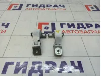 Петли двери багажника JAC J7