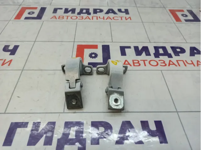 Петли двери багажника JAC J7