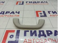 Ручка внутренняя потолочная JAC J7