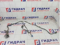 Проводка двери задней левой Jeep Grand Cherokee 56042538AG