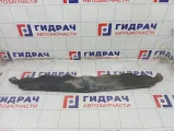 Защита антигравийная Jeep Grand Cherokee 55296138AA