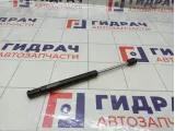 Амортизатор капота Jeep Grand Cherokee 55136764AA