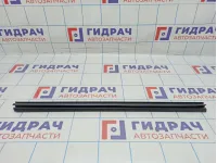 Уплотнитель стекла двери переднего левого Jeep Grand Cherokee (WJ) 55135899AC. Внутренний.