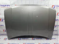 Капот Jeep Grand Cherokee (WJ) 55076470AE. Дефекты.