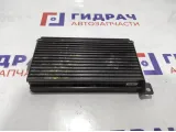Усилитель акустической системы Jeep Grand Cherokee (WJ) 56038407AD.