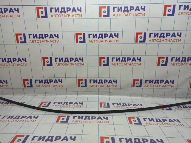 Молдинг крыши левый Jeep Grand Cherokee (WJ) 55136961AA.