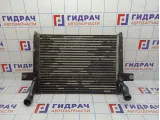 Интеркулер Jeep Grand Cherokee (WJ) 52079499AC.